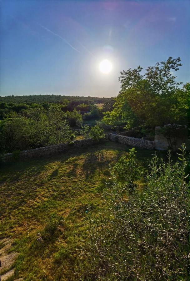 Villa Dvori Dida Mile Sveti Petar  Exterior photo